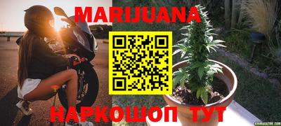 стафф Ачхой-Мартан