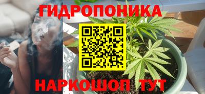 стафф Ачхой-Мартан
