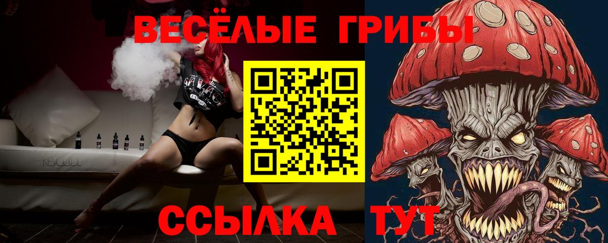 Псилоцибиновые грибы GOLDEN TEACHER Кольчугино