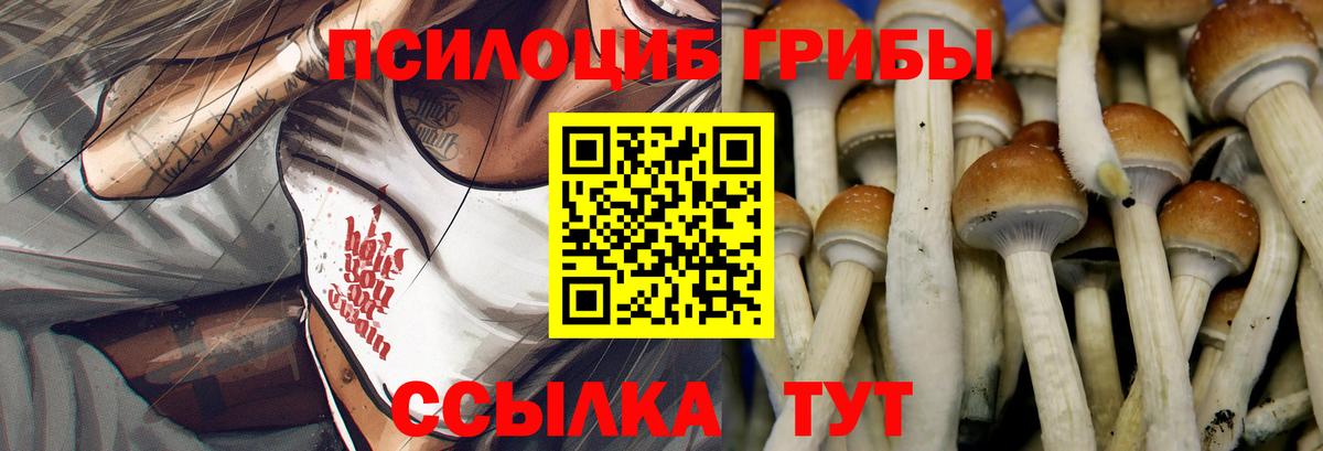 Псилоцибиновые грибы Cubensis  Галлюциногенные грибы мухоморы  купить наркоту  Кольчугино  Вход с VPN 